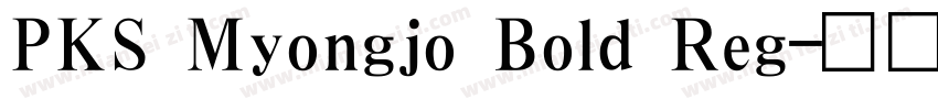 PKS Myongjo Bold Reg字体转换